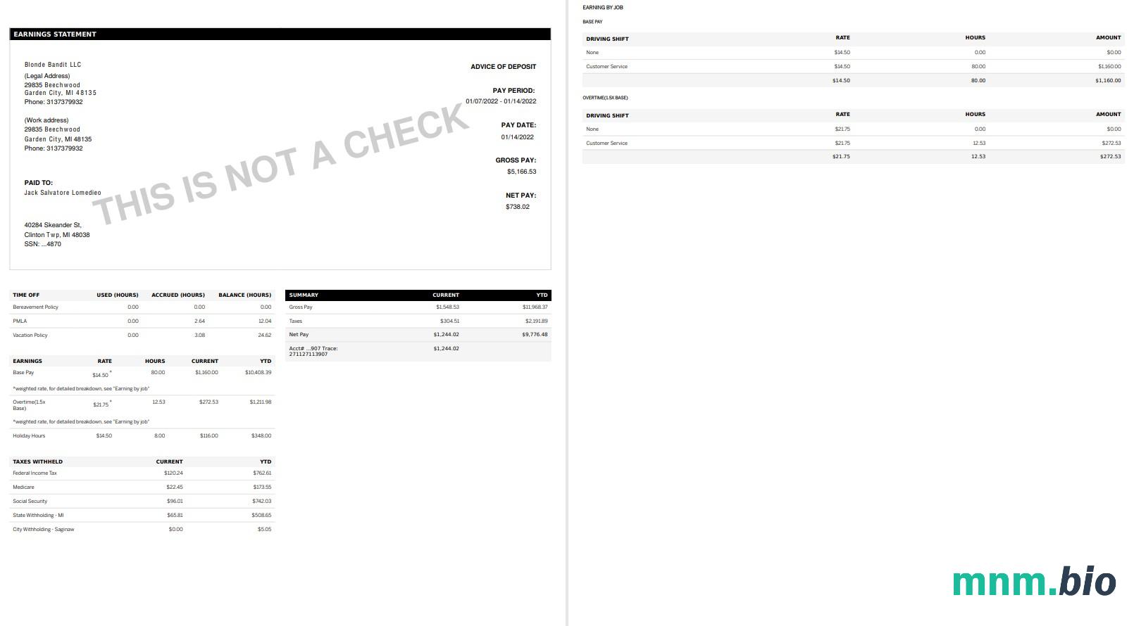 GOLDEN LIMOUSINE pay stub w formacie PDF i Words